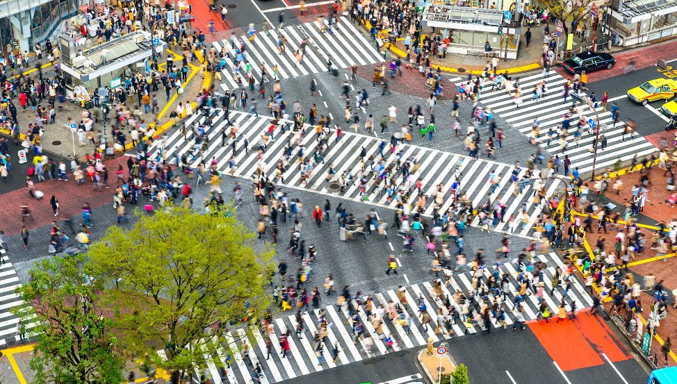 Shibuya Crossing